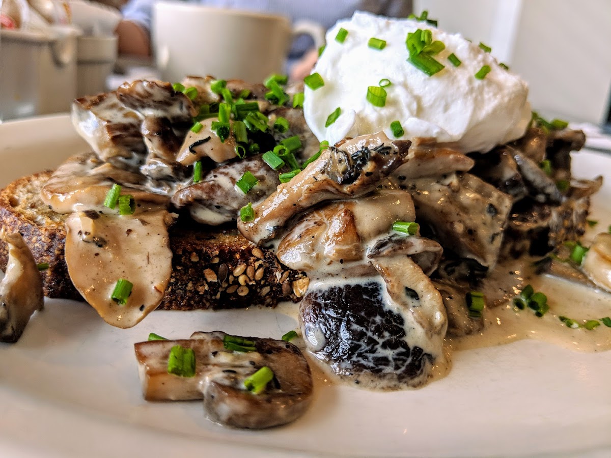 Rooster Kitchen & Bar